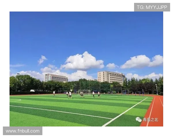 青岛足球合拍：打造城市足球文化新高地推动本土足球崛起